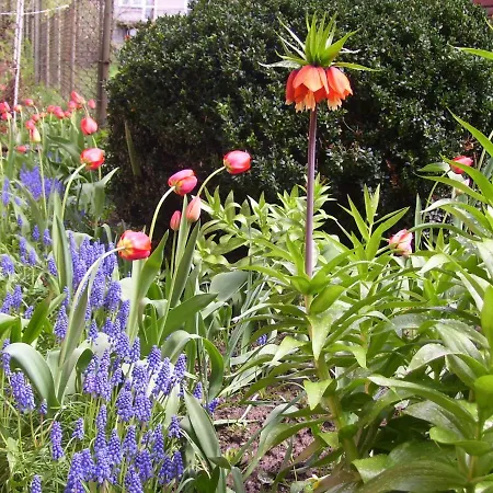 Apartament-studio, U Lucy Pansiyon