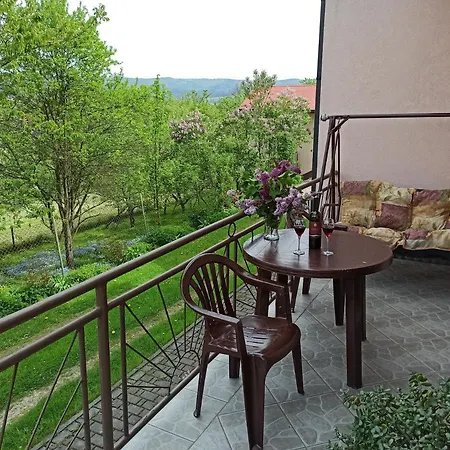 Homestay Apartament-studio, U Lucy *