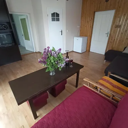 Apartament-studio, U Lucy Rabka-Zdrój